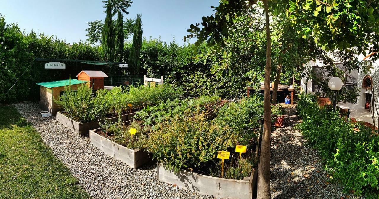 Masseria Urbana Crispiano Dış mekan fotoğraf